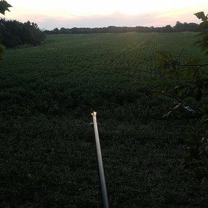 Meet your Posher, Dalton